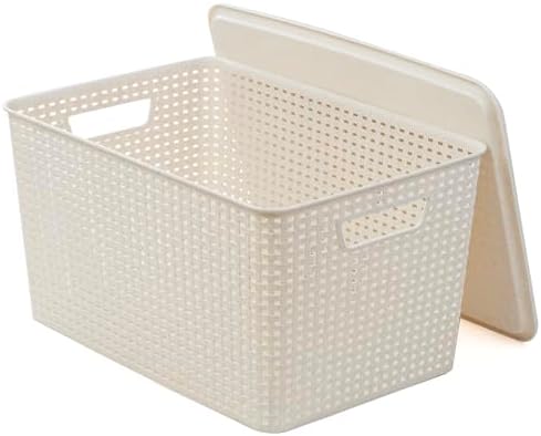 BINO | Plastic Storage Baskets with Lids, 22 Liter - 3 Pack, Natural | THE WOVEN COLLECTION | Storage Basket for Shelves | Woven Storage Baskets for Organizing Bins | Pantry Shelf Organizer Bin