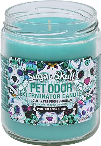 Pet Odor Exterminator Candle, Sugar Skull - Pack of 2