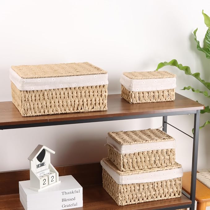 FEILANDUO Wicker Shelf Baskets Bin with Lid, Handwoven Paper Rope Baskets for Organizing, Rectangular Basket for Storage, Desktop Boxes with Lids Home Organizer Decor, Medium