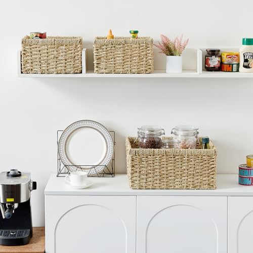 Vagusicc Wicker Basket, Set of 3 Hand-woven Storage Baskets for Organizing, Seagrass Wicker Storage Basket Bins with Handles, Small Toilet Paper Storage Baskets for Shelves Pantry Baskets (Seagrass)