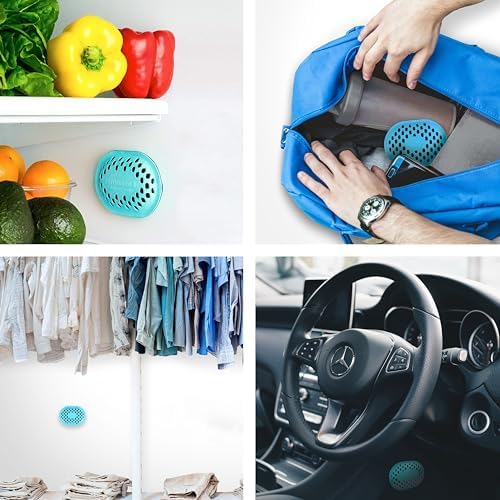 Remodeez Charcoal Deodorizer for Home, Car, Closet & Small Spaces