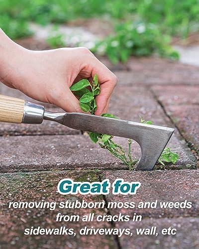Crack Weeder Crevice Weeding Stainless Steel Lightweight Tool | Razor-Sharp Rust-Resistant L-Shaped Blade, Solid Wood Non-Slip Handle, for Patio Cracks, Driveway Gaps, Walkway Edging