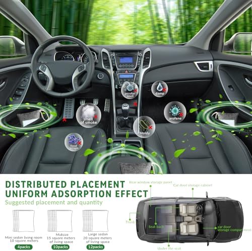 2 Bags Natural Air Purifying Bag | Bamboo Charcoal Odor Absorber for Home & Car | Closet Odor Eliminator, Small Room Deodorizer & Car Air Freshener | Charcoal Bags (250g gray, Unscented)