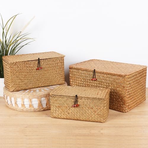 Moosky Wicker Shelf Baskets with Lid,Natural Seagrass Storage Basket Boxes Handwoven Rectangular Baskets Bins Multipurpose Home Organizer Decor (Medium)