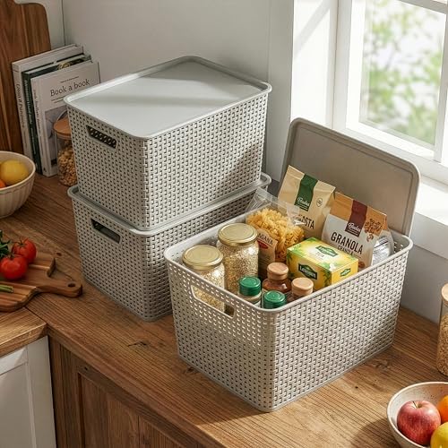 BINO | Plastic Storage Baskets with Lids, 22 Liter - 3 Pack, Natural Grey | THE WOVEN COLLECTION | Storage Basket for Shelves | Woven Storage Baskets for Organizing Bins | Pantry Shelf Organizer Bin