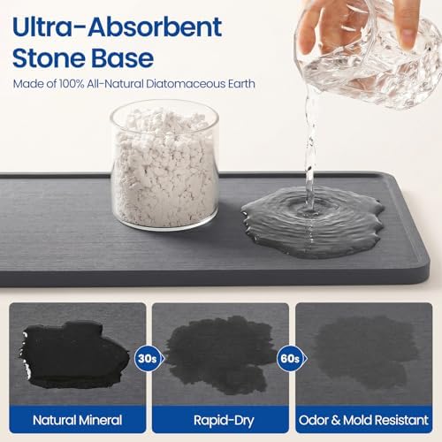 Kitchen Sink Organizer, Large Sink Caddy with Sponge Holder & Diatomite Mat | Cleaning Supplies in One Place, Kitchen Countertop Organizer, Home Essentials, Brush Holder, Quick Dry Tray, Fewer Puddles