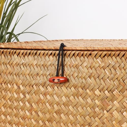 Moosky Wicker Shelf Baskets with Lid,Natural Seagrass Storage Basket Boxes Handwoven Rectangular Baskets Bins Multipurpose Home Organizer Decor (Medium)