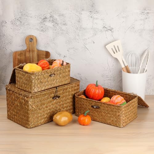 Sumnacon Wicker Basket with Lid, Rectangle Woven Tampon Holders, Caramel | Natural Seagrass Female Product Organizer for Toiletries Pad Tampon Storage,Farmhouse Woven Baskets for Shelf, Toilet Tank
