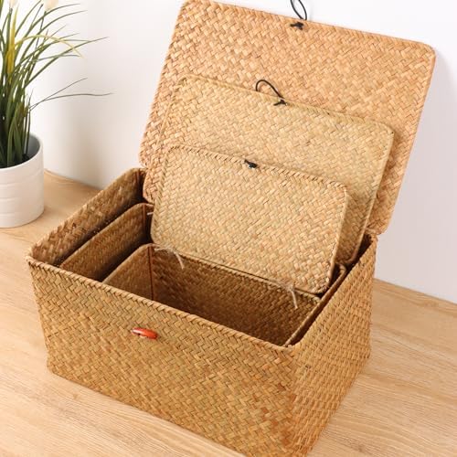 Moosky Wicker Shelf Baskets with Lid,Natural Seagrass Storage Basket Boxes Handwoven Rectangular Baskets Bins Multipurpose Home Organizer Decor (Large+Medium+Small)