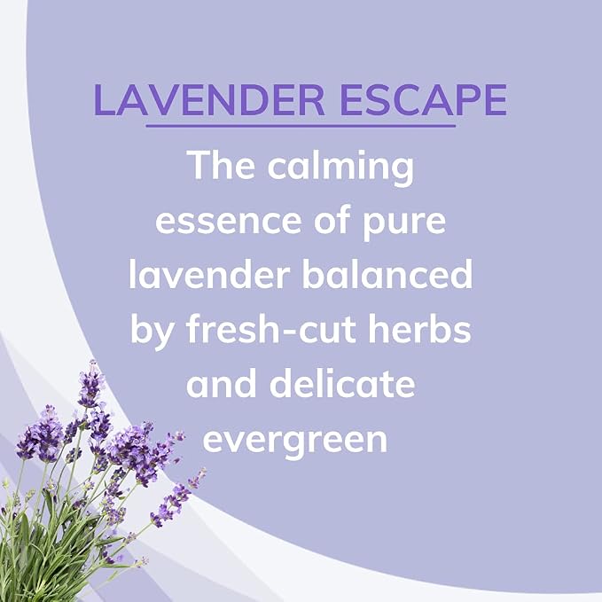 Citrus Magic Solid Air Fresheners, Lavender Escape, 8 Ounce, Pack of 6