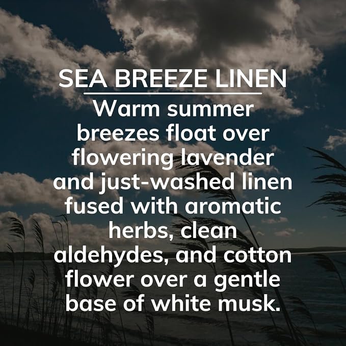 Citrus Magic Auto Solid Air Fresheners, Sea Breeze Linen, 8 oz, 3 Pack