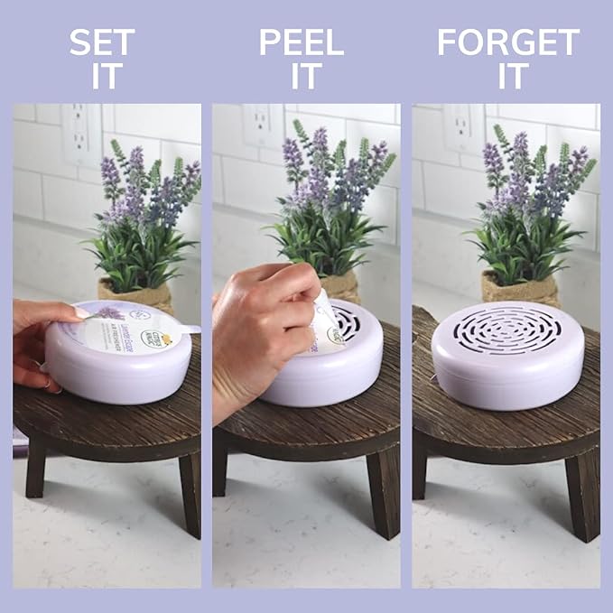 Citrus Magic Solid Air Fresheners, Lavender Escape, 8 Ounce, Pack of 6