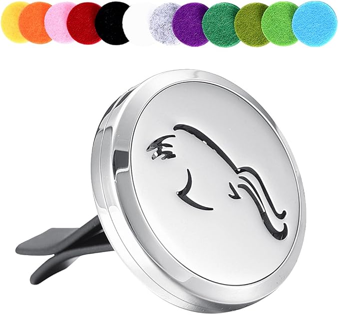 Women Accessories Essential Oil Diffuser Necklace Perfume Aromatherapy Car Diffuser Locket