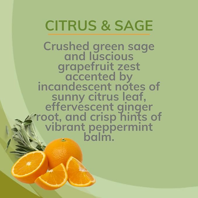 Citrus Magic Air Freshener Spray, Citrus and Sage, 3 Ounce, Pack of 3 | Odor Eliminator for Home, Up to 7 Hours of Freshness, Non-Aerosol, Citrus-Based Formula