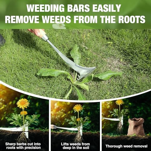 WORKPRO Crack Weeder, 13.5" Stainless Steel Weeding Tool, Wooden Handle | L-Shaped Sidewalk Weed Puller Spatula, for Garden Lawn Yard Patio Terrace Paving Garden Tool