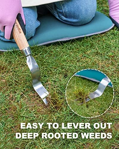 Dandelion & Crack Hand Weeder Puller with Solid Wood Handle | Manual Weed Digger Tool, Easily Pull & Dig to Remove Weeds with Roots, Hard Solid Wood Handle for Garden Lawn Yard Weeding