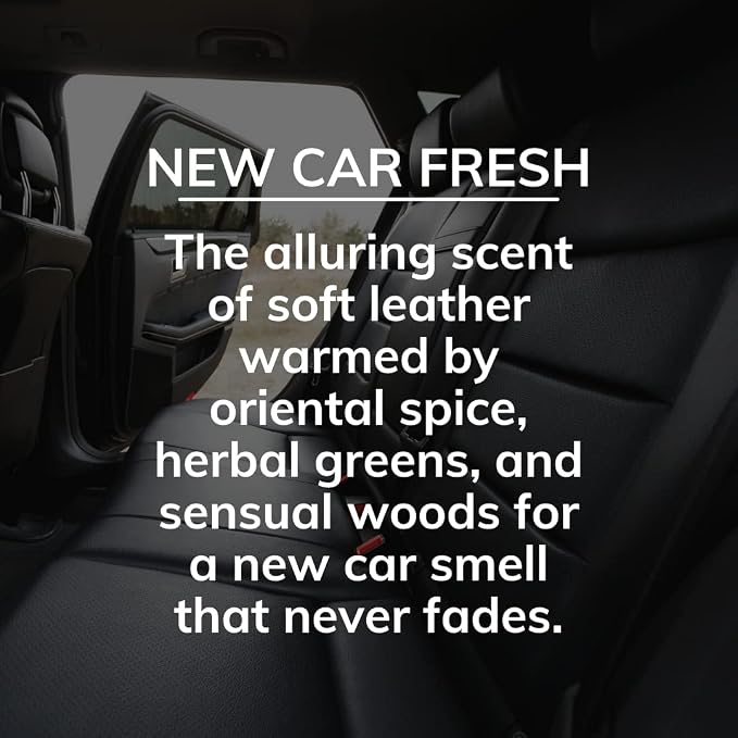 Citrus Magic Auto Solid Air Fresheners, New Car Fresh, 8 oz, 3 Pack