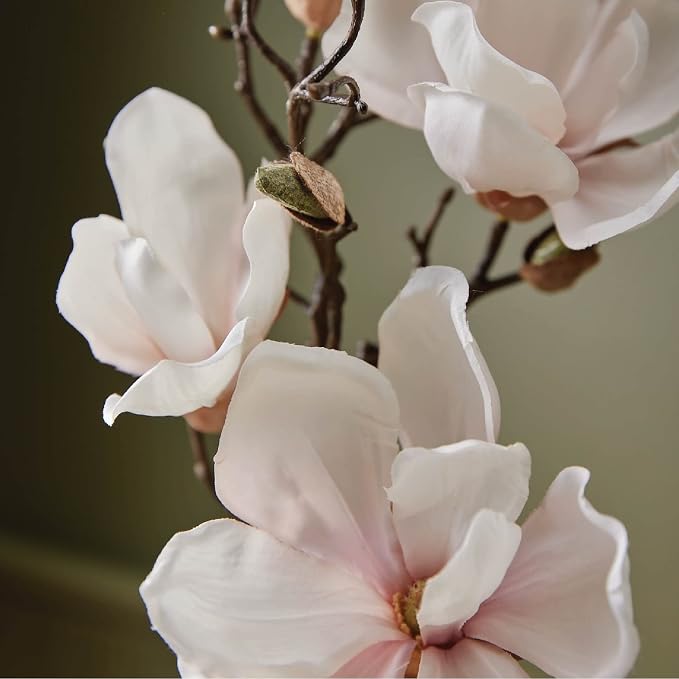 Thymes Home Fragrance Mist – Room Air Fresheners for Home Long Lasting – Air Freshener Spray – Premium Home Fragrance – Airy Notes of Willow, Magnolia, Mandarin & Jasmine (Magnolia Willow, 3 oz)