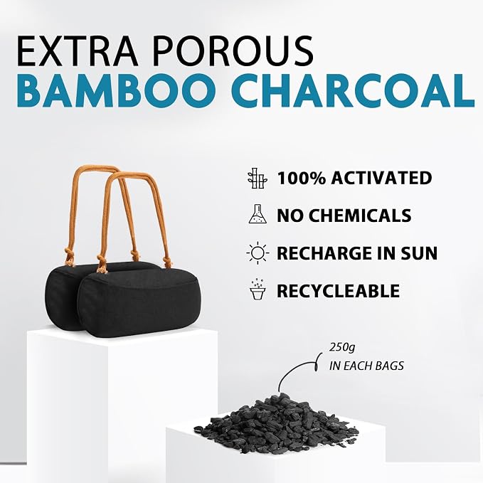 Timgle 1 Pack Charcoal Air Freshener for Car Bamboo Charcoal Odor Absorber Lasts 365+ Days No Chemicals Free Deodorizer Activated Odor Eliminator Bag, Absorb Smoke Smell, Purifier (Khaki Strap)