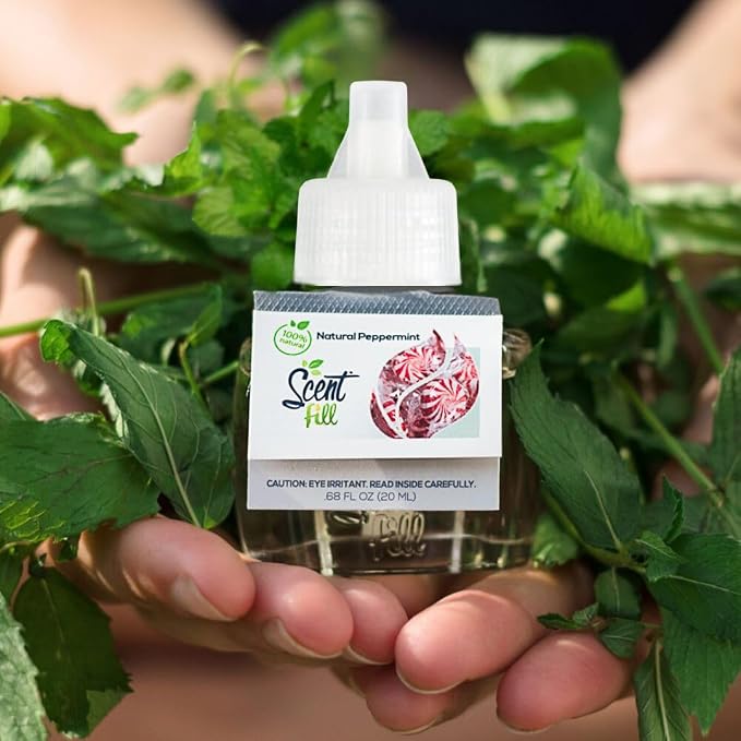 Scent Fill 100% Natural Fresh Peppermint Plug in Starter Kit, 4 Refills & Diffuser