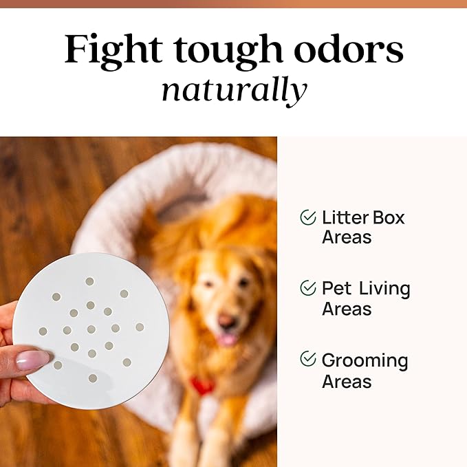 Azuna Pet Odor Eliminator for Strong Odor Gel | Pet Safe | 24oz Refill | Plant Powered | Dog and Cat Room Deodorizer | Pet Safe Air Fresheners for home | Cedarwood | Refill Only | Long Lasting