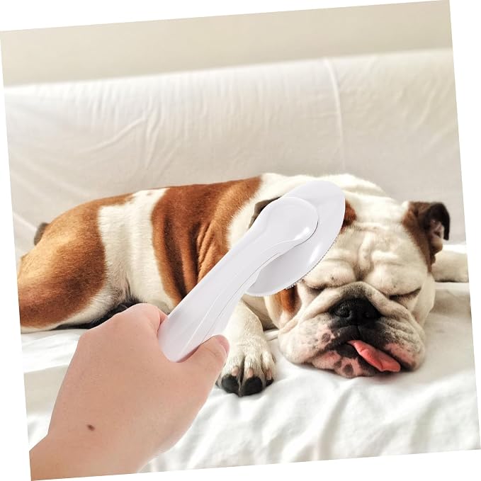 Housoutil Portable Lint Remover Brush Fabric Hair Brush Pet Hair Remover for Clothing