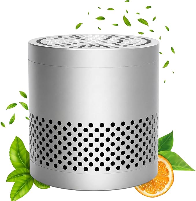Fridge Deodorizer Odor Eliminator – Reusable Refrigerator Freshener, Stainless Steel Odor Absorber for Car, 10-Year Catalytic Fridge Odor Remover for Freezer Closet (Silver A, 0)