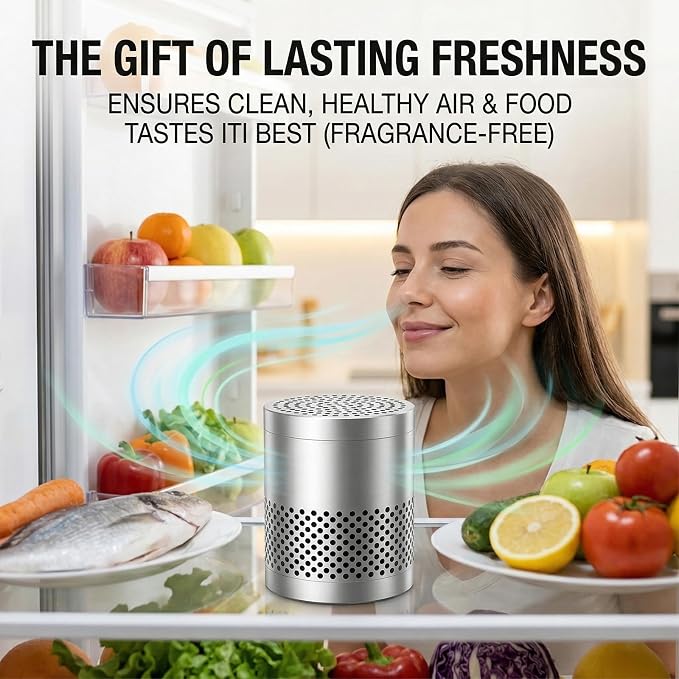 Fridge Deodorizer Odor Eliminator – Reusable Refrigerator Freshener, Stainless Steel Odor Absorber for Car, 10-Year Catalytic Fridge Odor Remover for Freezer Closet (Silver A, 0)