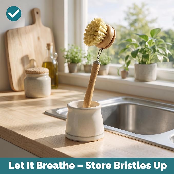 JUNGLE CULTURE Bamboo Dish Brush • 3 Swap Heads & Loofah Sponge • 4 Piece | Non Toxic Plastic Free Kitchen Brushes for Pots, Pans, Cast Iron, Jars & Vegetables • Natural Fiber Bristles
