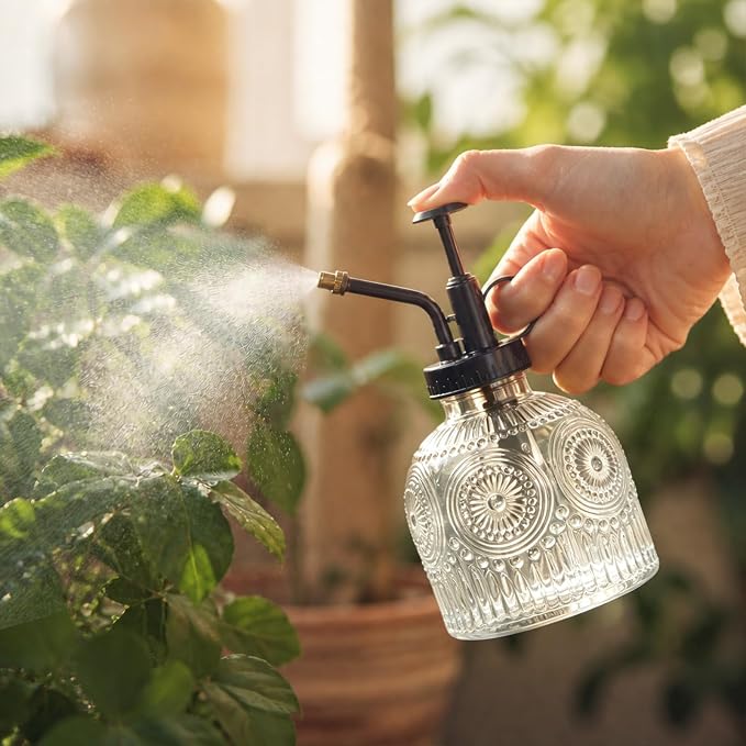 Glass Plant Mister Spray Bottle Vintage Refill Leak Proof Watering Can 8oz | for Indoor Plants, Houseplants, Gardening, Cleaning, Hair & Pet Care with Mist Nozzle (Clear-black Pump)