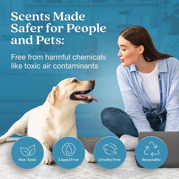Enviroscent Non-Toxic* Air Freshener Plug-In Plug Hub® Kit for Home, 1 Pack | Non-Toxic* Air Freshener w/ Spring Water & Lotus Scent | Fits Standard Outlets for Daily Use | Pet-Friendly w/ Paper Refill