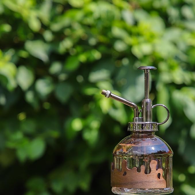 OFFIDIX Glass Plant Mister, Spray Bottle with Vintage Bronze Plastic Pump | Vintage Style Spritzer, Indoor Plant Spray Bottle, 6.3" Tall, 200ml/6.7oz, Small One Hand Watering Can for Garden Cleaning