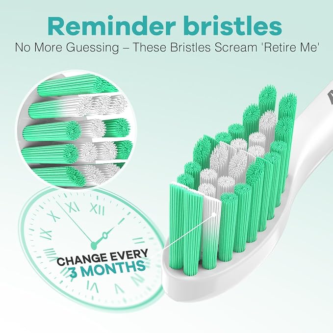 Aoremon Toothbrush Replacement Heads fit for Philips Sonicare E-Series | Toothbrush Heads fit for Essence Xtreme Elite Advance CleanCare Screw-on Electric Toothbrush Handle, 3 Count, Green