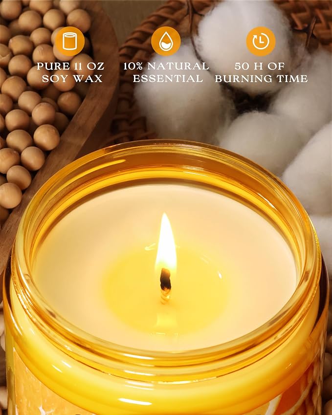 AOOVOO Citrus Lemon Large Odor Eliminating Candle - 11oz Soy Candles | Eliminates 95% of Smoke, Food, Pet and Other Smells Quickly, Non Toxic Air Freshing Candle, Up to 50 Hours Burn time