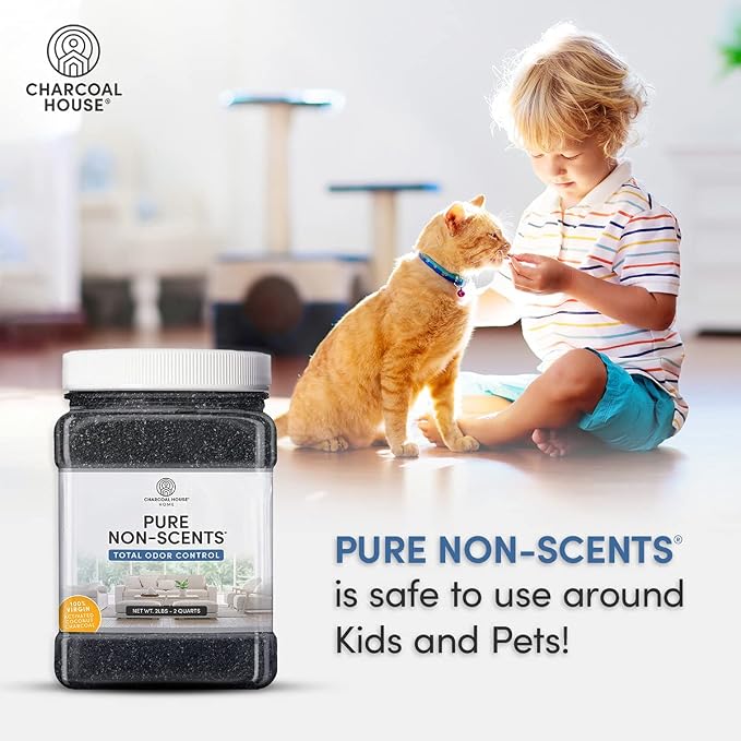 Pure Non Scents® Granular Coconut Shell Activated Charcoal - Non Toxic Odor Absorber & Eliminator for Home, Car, Shoes, Closet, Fridge, & More - Safe Deodorizer for Bad Odors - Unscented, 2lbs