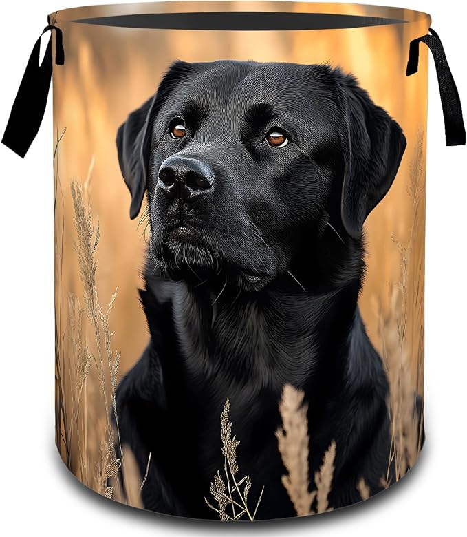 Labrador Dog with Wheat Field Laundry Basket, Dirty Collapsible Clothes Toy Organizer Hamper for Kids Adults, Oxford Cloth Waterproof Storage Bin for Bedroom Bathroom Decor Gifts, 19.7"X15.7"