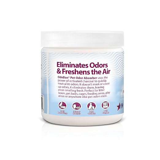OdoBan OdoMagnet Pet Odor Eliminator with Activated Charcoal, 14 Ounce 6-Pack, Fresh Air Scent