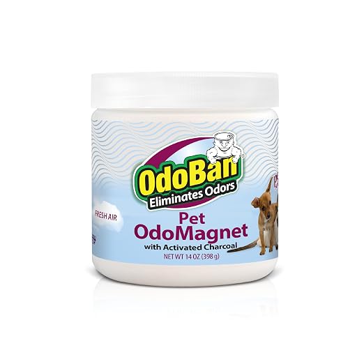 OdoBan OdoMagnet Pet Odor Eliminator with Activated Charcoal, 14 Ounce 12-Pack, Fresh Air Scent