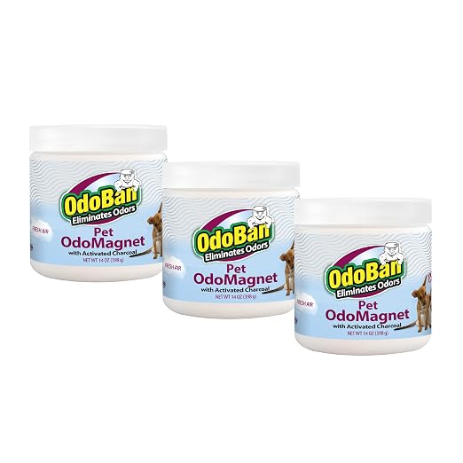 OdoBan OdoMagnet Pet Odor Eliminator with Activated Charcoal, 14 Ounce 3-Pack, Fresh Air Scent