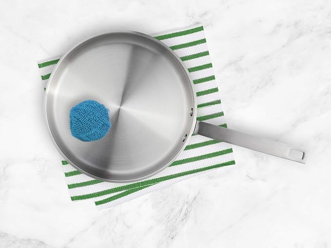 HIC Kitchen Scratch Resistant and Non-Stick Scouring Pad and Dish Scrubbers, Set of 9