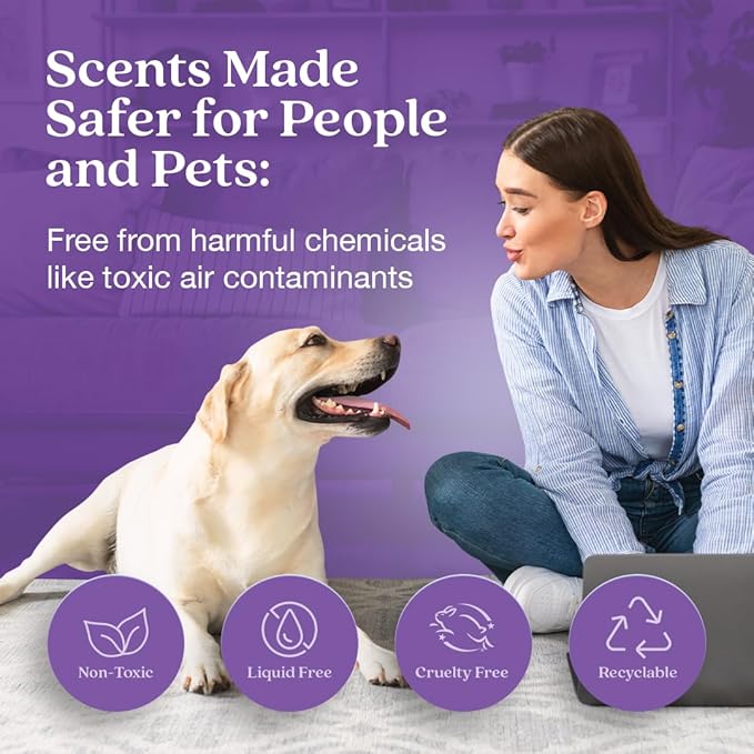 Enviroscent Non-Toxic* Air Freshener Plug-In Plug Hub® Kit for Home, 1 Pack | Non-Toxic* Air Freshener w/ Lavender Tea & Honey Scent | Fits Standard Outlets for Daily Use | Pet-Friendly w/ Paper Refill