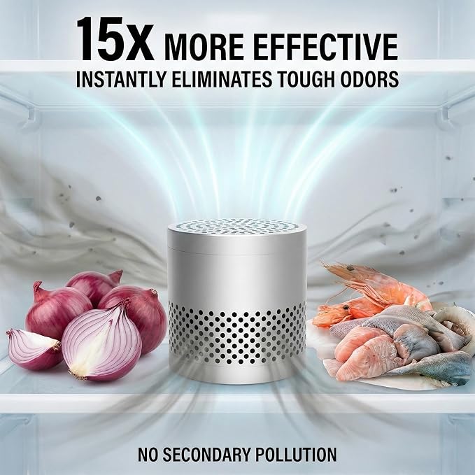 Fridge Deodorizer Odor Eliminator – Reusable Refrigerator Freshener, Stainless Steel Odor Absorber for Car, 10-Year Catalytic Fridge Odor Remover for Freezer Closet (Silver A, 0)