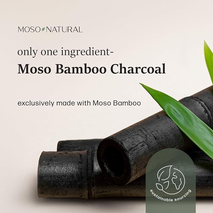 Moso Natural Shoe Deodorizer Inserts (2 Pack) Charcoal Odor Absorber for Shoes, Gym Bag & Boot Deodorizer, Unscented Shoe Odor Elimination, Air Purifying Bags, Lasts 2 Years (4 Bags)