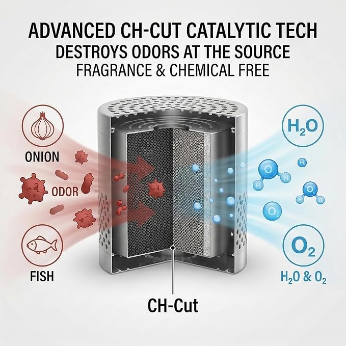 Fridge Deodorizer Odor Eliminator – Reusable Refrigerator Freshener, Stainless Steel Odor Absorber for Car, 10-Year Catalytic Fridge Odor Remover for Freezer Closet (Silver A, 0)