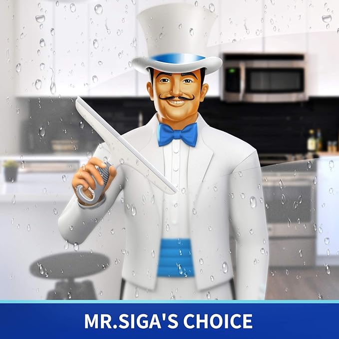 MR.SIGA Silicone Squeegee for Shower Doors, 25 cm/10 inch, White & Gray | Shower squeegee for glass doors, streak free squeegee for windows, showers and glass surfaces, includes suction hook