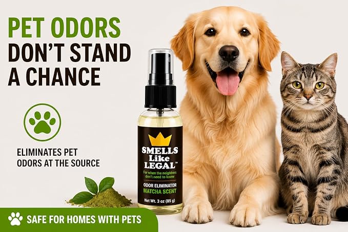 Smells Like Legal® Matcha Odor Eliminator Spray, 3 oz Travel Size – Shoe & Fabric Deodorizer, Eliminates Smoke, Pet, Food & Gym Bag Odors, Water-Based, Fabric Safe, Made in USA
