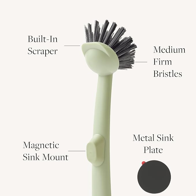 Earth & Mango Magnetic Dish Brush & Scraper, Snaps to Sink, Moss Green