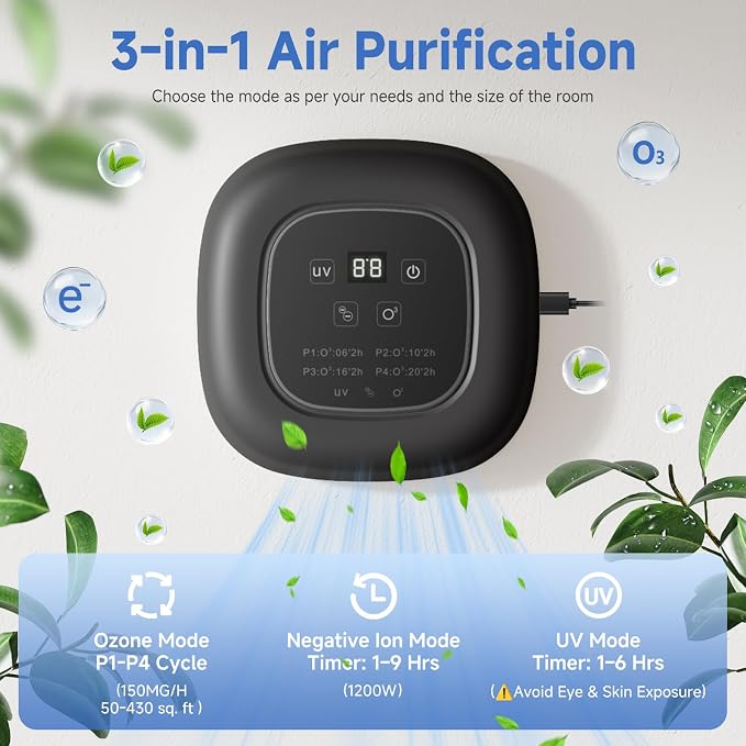Air Purifier for Home with Ozone & Negative Ion, Ionic Air Purifier for Pet Smell, Smoke, Musty, Dust, Plug-in Air Ionizer for Bedrooms, Kitchens, Bathrooms, Cars and Offices, USB Powered (Dark Gray)