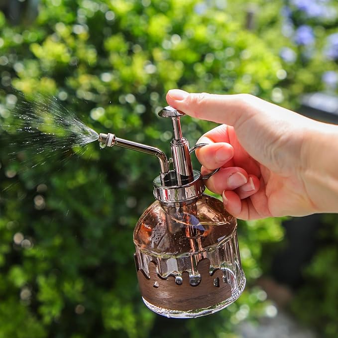 OFFIDIX Glass Plant Mister, Spray Bottle with Vintage Bronze Plastic Pump | Vintage Style Spritzer, Indoor Plant Spray Bottle, 6.3" Tall, 200ml/6.7oz, Small One Hand Watering Can for Garden Cleaning