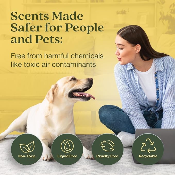 Enviroscent Non-Toxic* Air Freshener Plug-In Plug Hub® Kit for Home, 1 Pack | Non-Toxic* Air Freshener w/ Lemon Leaf & Thyme Scent | Fits Standard Outlets for Daily Use | Pet-Friendly w/ Paper Refill